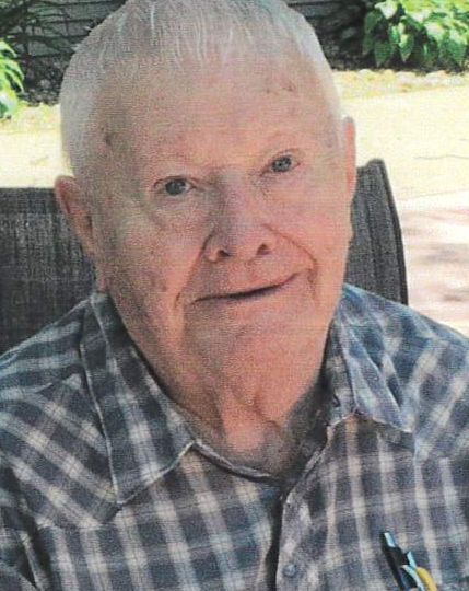 Leisinger, Donald William Obituary Photo